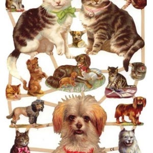 Recortes de papel de gato e cachorro para decoupage, scrapbooking, artesanato decorativo em papel, criação de cartões, diários, decoração de velas, EF 7238