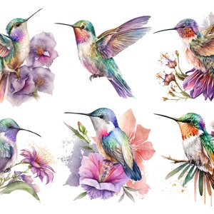 Carta di riso per decoupage / colibrì / tessuto di gelso / scrapbooking / 1 foglio A4 / 30 g/2