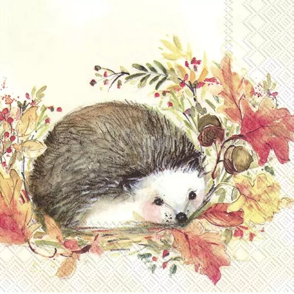 4 Decoupage Paper Napkins, Hedgehog Collage, Serviette Tissue, Woodland Decoupage, Hedgehog Paper Tissue, 3ply