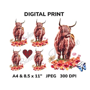 デコパージュ、ジャンクジャーナル、スクラップブッキング、JPEG 用に印刷可能なデジタル ハイランド カウ コラージュをダウンロードします。