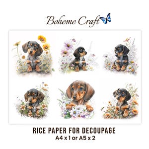 Dachshund Dog Art Rice Paper For Decoupage,  Sausage Dogs In Cottage Garden Flowers