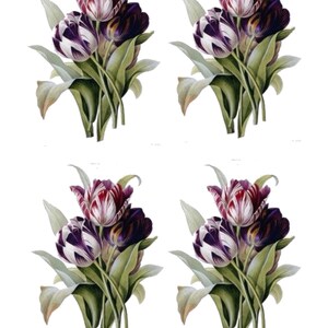 A4 Reispapier/ Decoupage / Tulpenblumen / Scrapbooking / Kartenherstellung / Ephemera / Journal/ A4