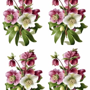 Rijstpapier met bloemen voor decoupage / Scrapbooking / Kaarten maken / Ephemera/ Journal/ A4