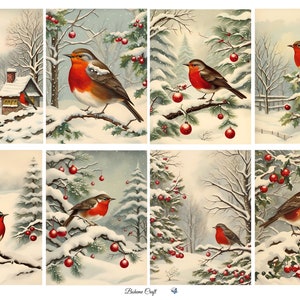 May include: A collection of eight winter-themed illustrations featuring European robins with orange-red breasts perched on snow-covered branches, holly berries, and pine trees, with some scenes including red ornaments and a small cottage in the snow.