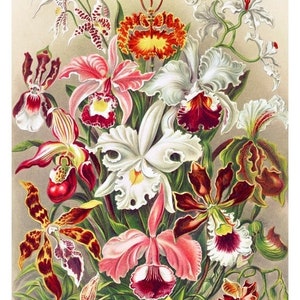 A4 Reispapier für Decoupage Vintage Orchidee Blumen Collage Maulbeergewebe Floral Kunstdruck, verschiedene Papiersorten und Größen