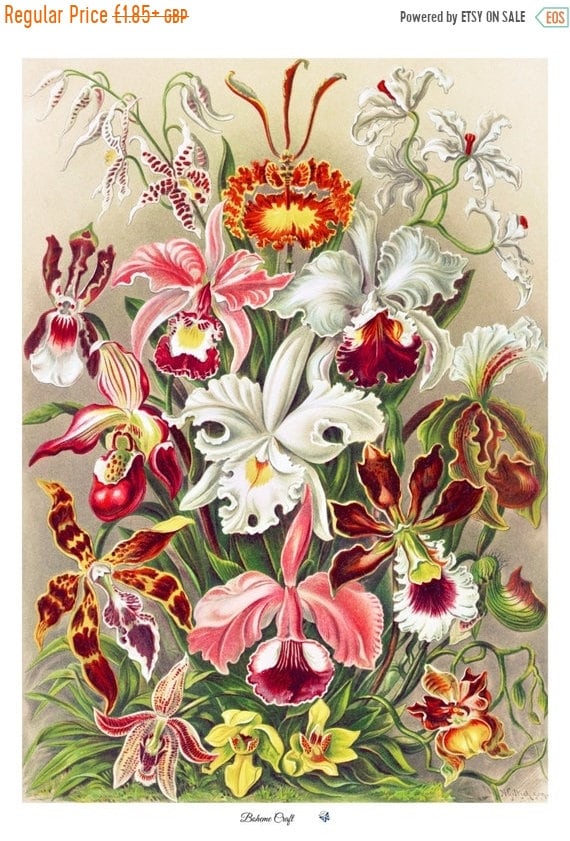 Vintage Orchid Collage Rice Paper for Decoupage: Floral Art Print