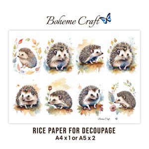 K&ouml;nnte beinhalten: Ein Bogen Reispapier f&uuml;r Decoupage mit acht verschiedenen Aquarellillustrationen von Igeln. Die Motive zeigen Igel, umgeben von Herbstbl&auml;ttern und floralen Elementen. Der Text Boheme Craft erscheint oben und unten auf dem Blatt.