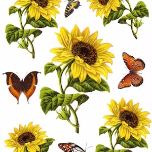 Carta di riso decorativa per decoupage/Girasoli gialli/Scrapbooking/Creazione di biglietti/30 g/2
