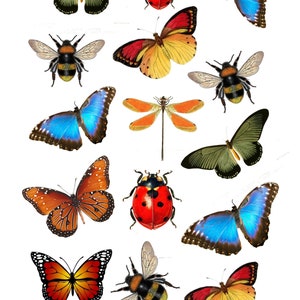 Rice Paper for Decoupage, Butterflies and Insects, Mulberry Tissue, Scrapbooking, Journal , 1 A4 Sheet