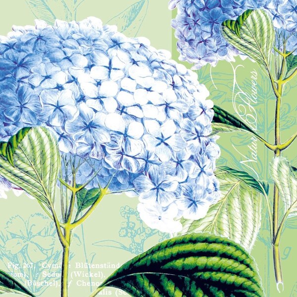 Blue Floral Decoupage Napkins Etsy