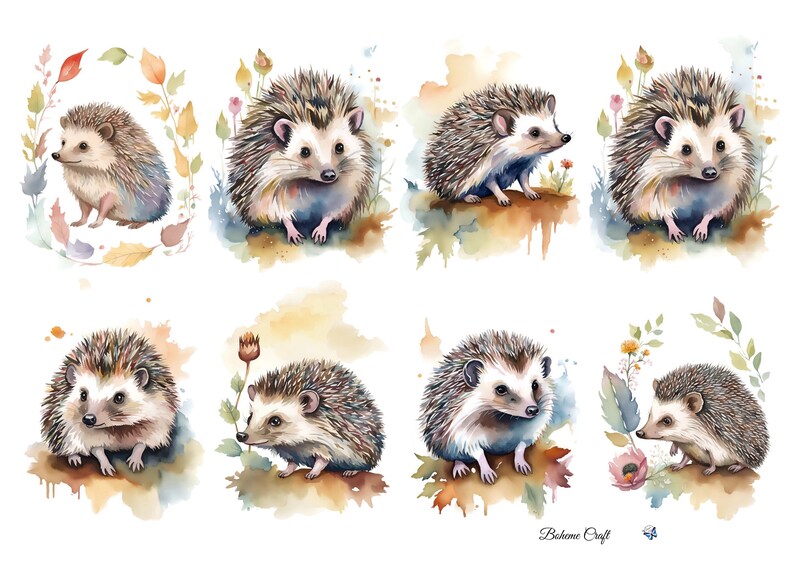 K&ouml;nnte beinhalten: Eine Sammlung von acht Aquarellillustrationen, die Igel in verschiedenen Posen zeigen, umgeben von weichem, herbstfarbenem Laub und floralen Elementen. Das Kunstwerk zeigt braune, hellbraune und ged&auml;mpfte Gr&uuml;nt&ouml;ne mit dem Text Boheme Craft unten.