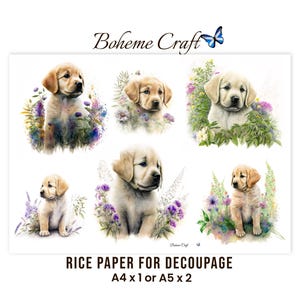 May include: A sheet of rice paper for decoupage by Boheme Craft featuring six illustrations of light-colored Labrador puppies surrounded by colorful flowers and greenery. The text reads Boheme Craft, RICE PAPER FOR DECOUPAGE, A4 x 1 or A5 x 2.