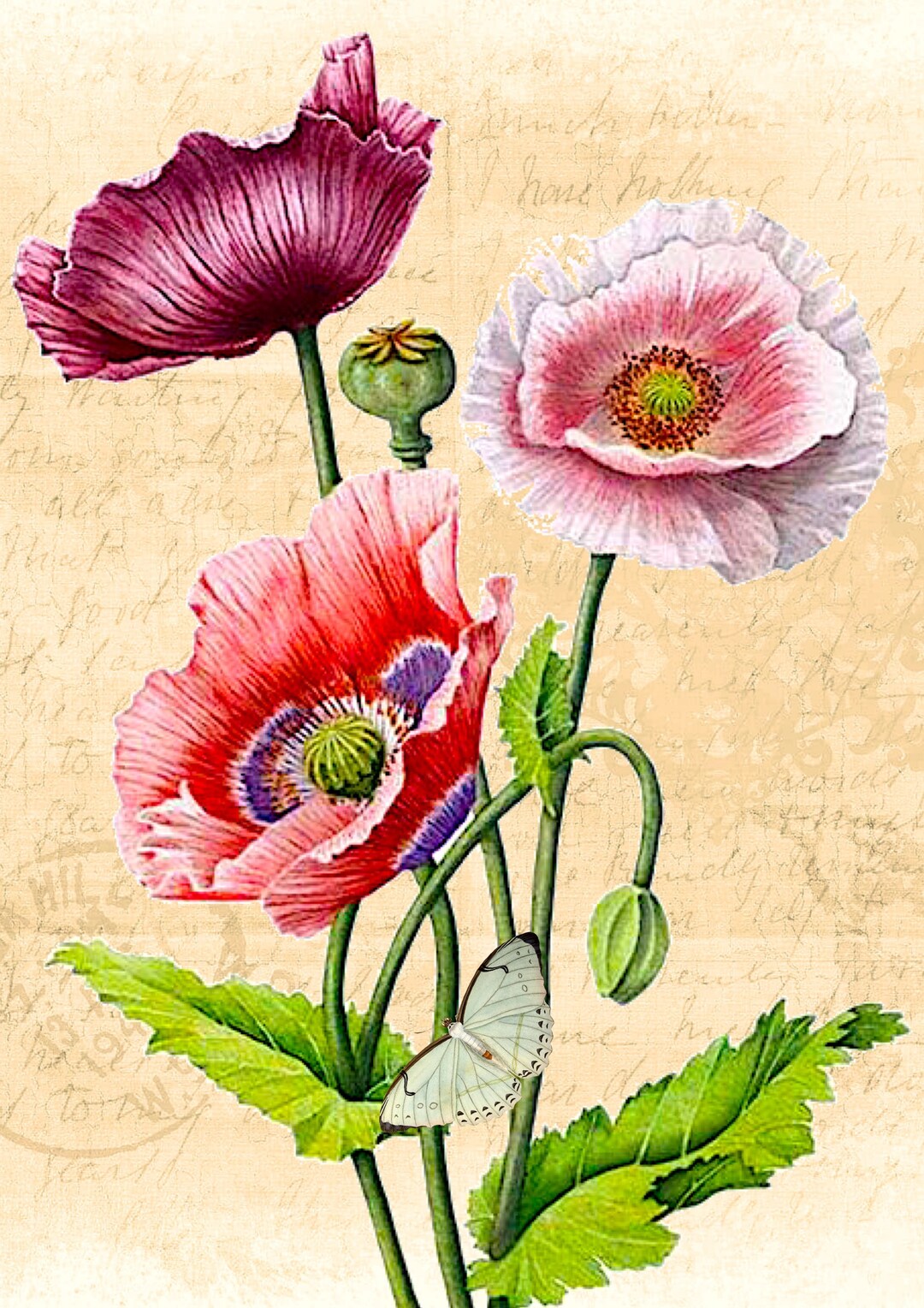 A4 Rice Paper/ Decoupage / Poppies / Scrapbooking / Card - Etsy