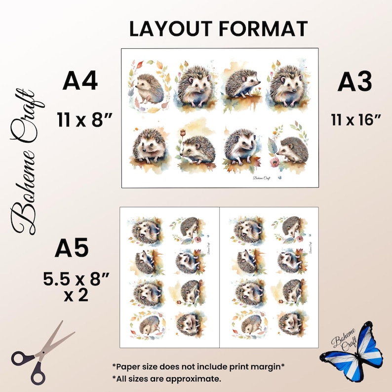 K&ouml;nnte beinhalten: Ein Layout-Format-Leitfaden f&uuml;r Igel-Drucke mit den Gr&ouml;&szlig;en A4, A3 und A5. Der A4-Bereich zeigt 11 x 8 Zoll, A3 zeigt 11 x 16 Zoll und A5 zeigt 5,5 x 8 Zoll x 2. Der Text Boheme Craft erscheint zusammen mit Aquarell-Illustrationen von Igeln.