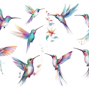 Carta di riso per decoupage / Colibrì acquerello / Tessuto di gelso / Scrapbooking / 1 foglio A4 / 30 gm/2