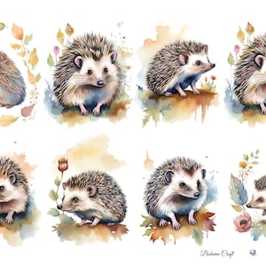 K&ouml;nnte beinhalten: Eine Sammlung von acht Aquarellillustrationen mit Igeln in verschiedenen Posen, umgeben von herbstlich gef&auml;rbtem Laub und floralen Akzenten. Das Kunstwerk zeigt Braun-, Beige- und Cremet&ouml;ne mit k&uuml;nstlerischen Farbspritzern. Text Boheme Craft.