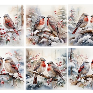 May include: A set of six watercolor illustrations featuring pairs of birds perched on snow-covered branches with red berries. Each square panel depicts different bird species in a winter forest setting with soft white, gray, and red tones.