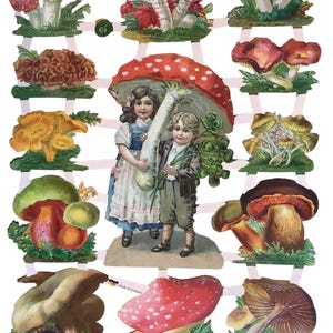 Paper Scrap Die Cut Reliefs, Vintage Fungi Mushrooms Collage Sheet For Decoupage, Card Making, Decorative Paper Crafts, EF 77356