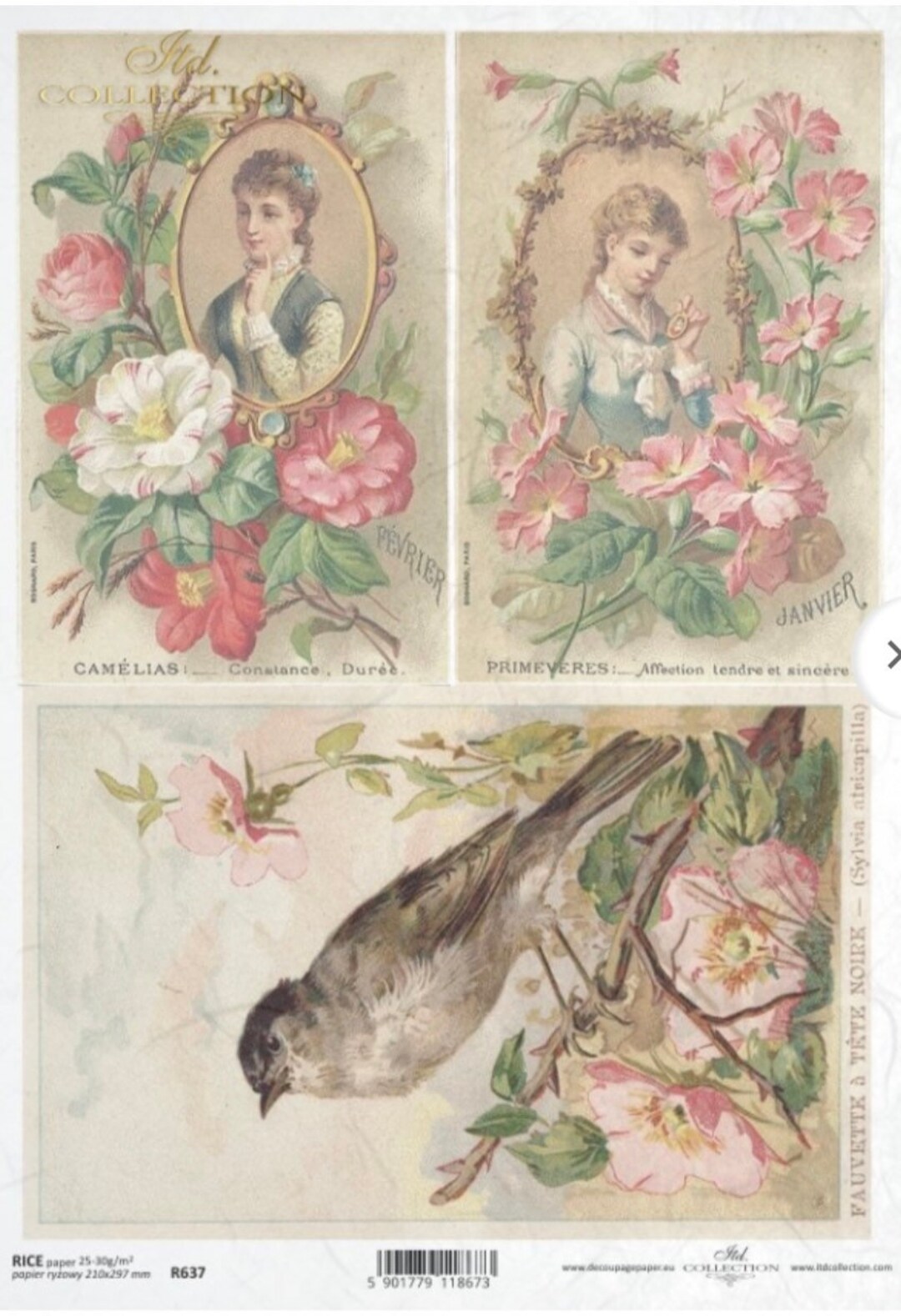 Vintage Bird Rice Paper for Decoupage: Floral Collage (A4 Sheet) - Etsy