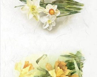 Papel de arroz con flores de narciso para decoupage y scrapbooking (hoja A4)