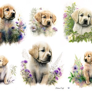 May include: A collection of six watercolor illustrations featuring golden retriever puppies surrounded by colorful wildflowers and greenery. Each puppy is depicted with soft fur and expressive eyes, set against a clean white background with the text Boho Craft.