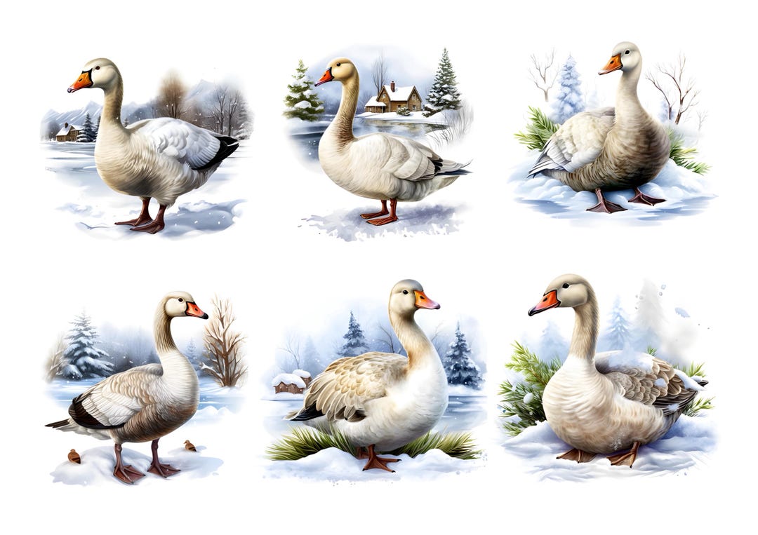Rice Paper for Decoupage, Goose Collage Paper Craft Sheet, Winter Bird ...