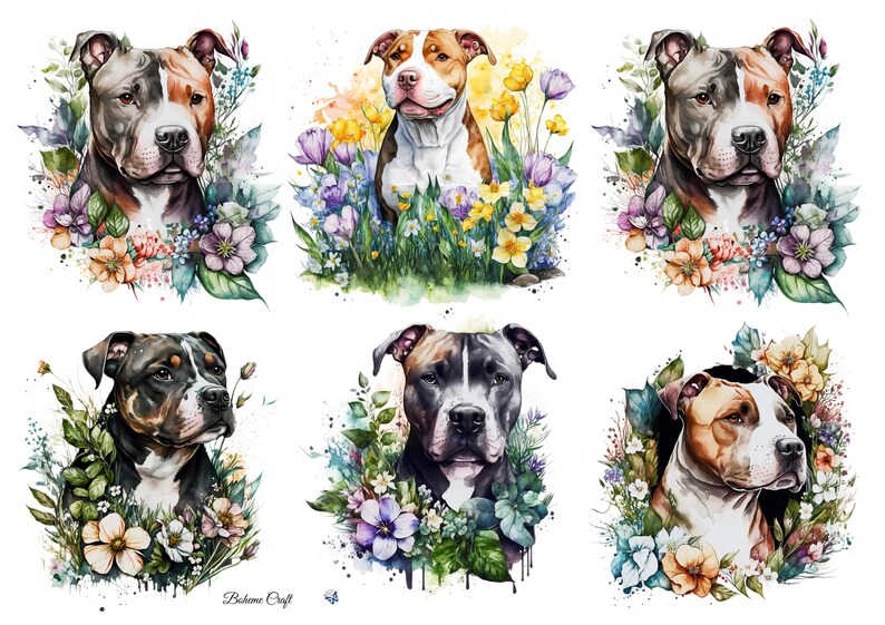 May include: A collection of six watercolour illustrations featuring Pitbull dogs surrounded by vibrant floral arrangements. Each portrait showcases a different dog with unique coat patterns, including brown, white, and black, accented by colourful flowers and green foliage. The text "Boheme Craft" is visible at the bottom.