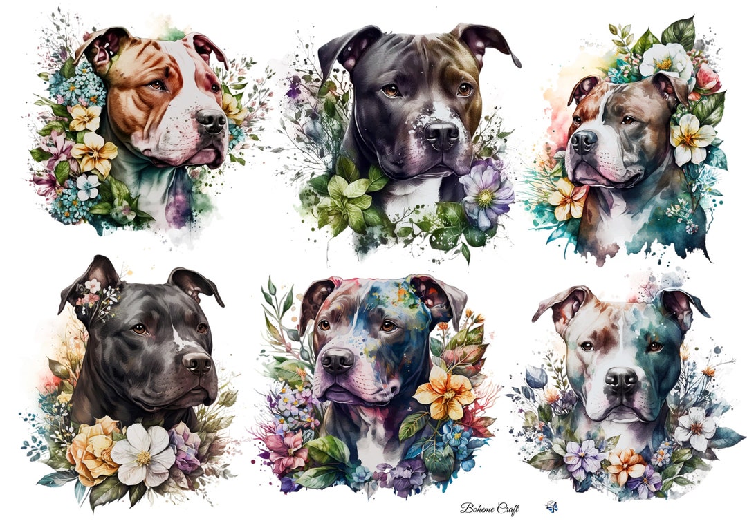 Pit Bull Terrier Dog Art Rice Paper for Decoupage A4/A5