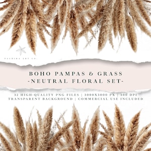 32 PNG, Boho Pampas Grass Clipart, compositions florales neutres, fleurs séchées beiges, clipart mariage automne, téléchargement numérique, usage Commercial
