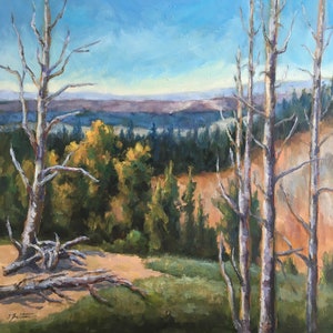 Bryce Canyon Oil Painting, Utah Landscape Art, 24&quot;x24&quot;