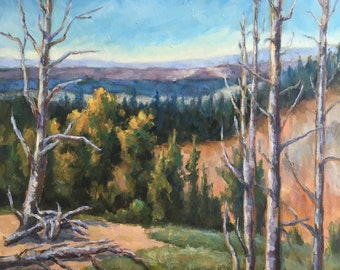 May include: A painting depicting a woodland scene with a view of a distant valley. The foreground features two tall, bare trees with white bark, and a fallen tree in the lower left corner. The background is a mix of green and brown trees, with a blue sky above.