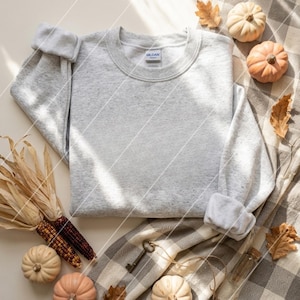 May include: A light gray crewneck sweatshirt with long sleeves and ribbed cuffs. The garment features a Gildan brand label at the inner neckline. The fabric has a subtle heathered texture throughout, providing a neutral appearance for this pullover.