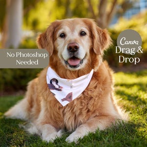 May include: A Golden Retriever dog wearing a white bandana with brown and black dog illustrations. The dog is lying on green grass in a sunny outdoor setting. Text on the image reads "No Photoshop Needed" and "Canva Drag & Drop".