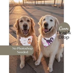 May include: Two golden retrievers wearing bandanas. One bandana has a cartoon dog design and the word "Woof!" The other bandana has a black poodle design. The image has the text "Canva Drag & Drop" and "No Photoshop Needed".