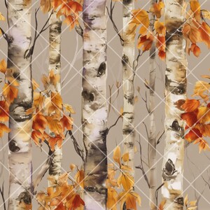 May include: Watercolor illustration of birch trees with orange and yellow autumn leaves. The trees have white and brown bark, and the background is a light tan color with a white diamond pattern.