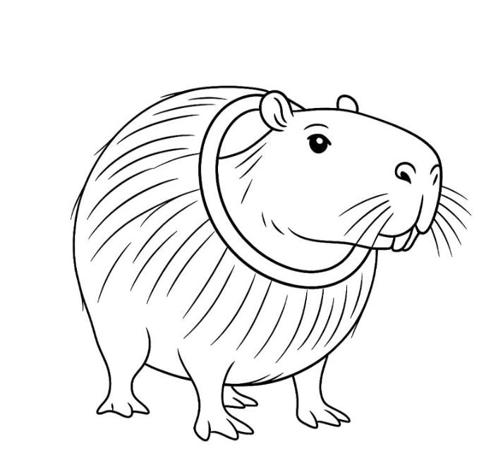 Burbaloni Lulilolli Capybara SVG Outline | Cute Simple Rodent