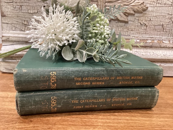 Set The Caterpillars of British Moths First & Second Series 1948