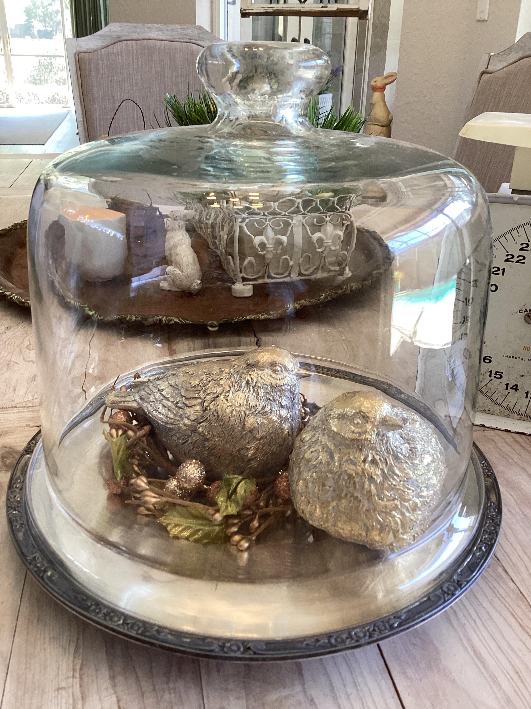 Silver Tray With Glass Cloche Home Decor - Etsy