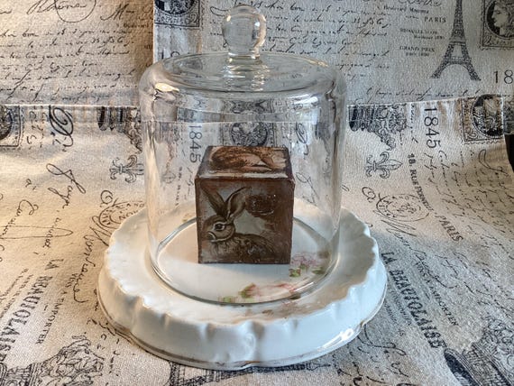 Vintage Teapot Base with Glass Cloche Set