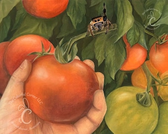 ハーモニーアートプリント｜トマトとハエトリグモのチョークパステル画｜アーカイブアートプリント