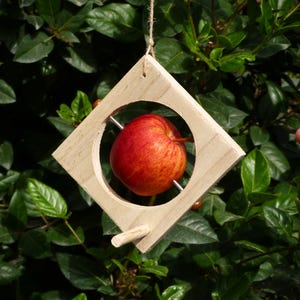 Handmade hanging wooden bird feeder, apple feeder, fruit and fat ball feeder, hanging apple station, garden bird feeder anniversary gift.