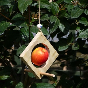 Handmade hanging wooden bird feeder, apple feeder, fruit and fat ball feeder, hanging apple station, garden bird feeder anniversary gift.
