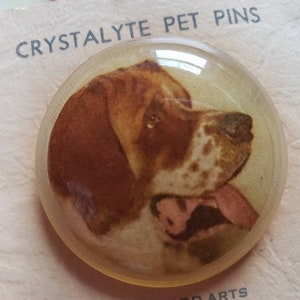 Vintage Standard Arts Crystalyte Pet Pins Dog Brooch or Pin Jewelry 1930s Made in the USA