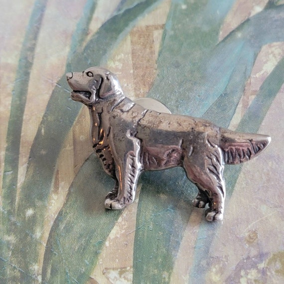 Silver golden best sale retriever