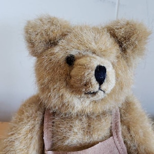 May include: A plush brown teddy bear wearing a brown overall. The bear has black eyes and a black nose.