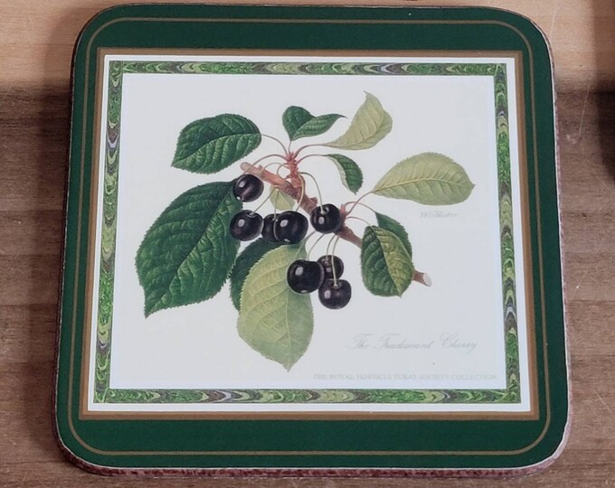 Vintage Pimpernel Set of 6 the Royal Horticultural Society Coasters