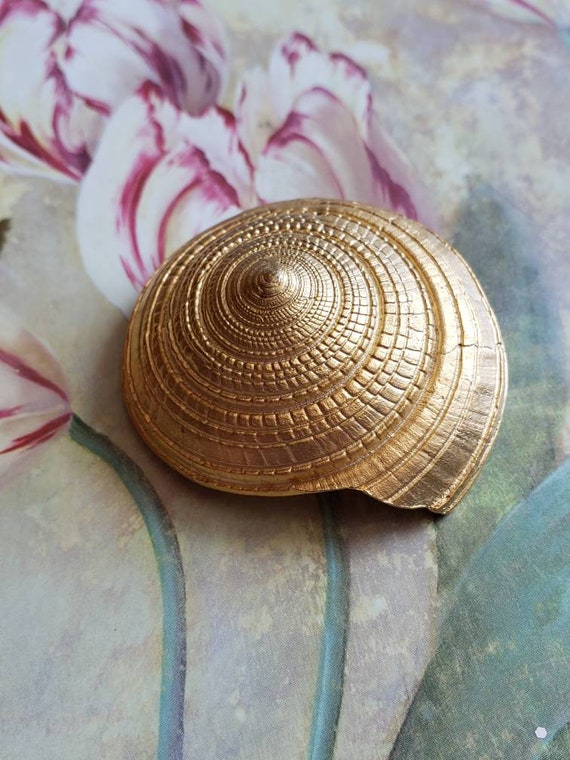 Vintage Gold Tone Metal Brooch Pin Seashell - image 5