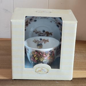 Brambly Hedge Cup - Etsy