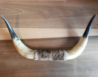 Vintage Taxidermy Steer Horns Brown Velvet Conversation Piece 1960s Texas Cadillac Car