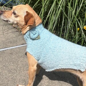 Soft Teal Hand-Knit Dog Sweater with Rosette